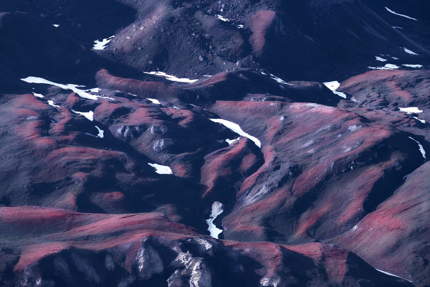 Alpine View - Topographies of Transcience | Yvonne Oswald Photography