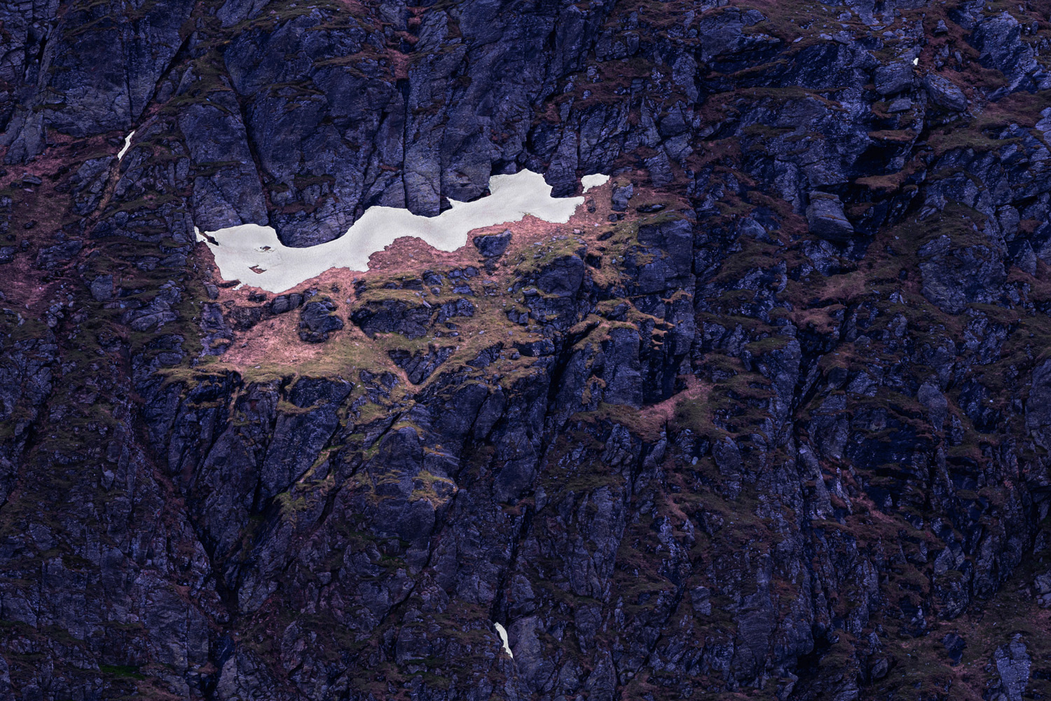 Alpine View - Topographies of Transcience | Yvonne Oswald Photography