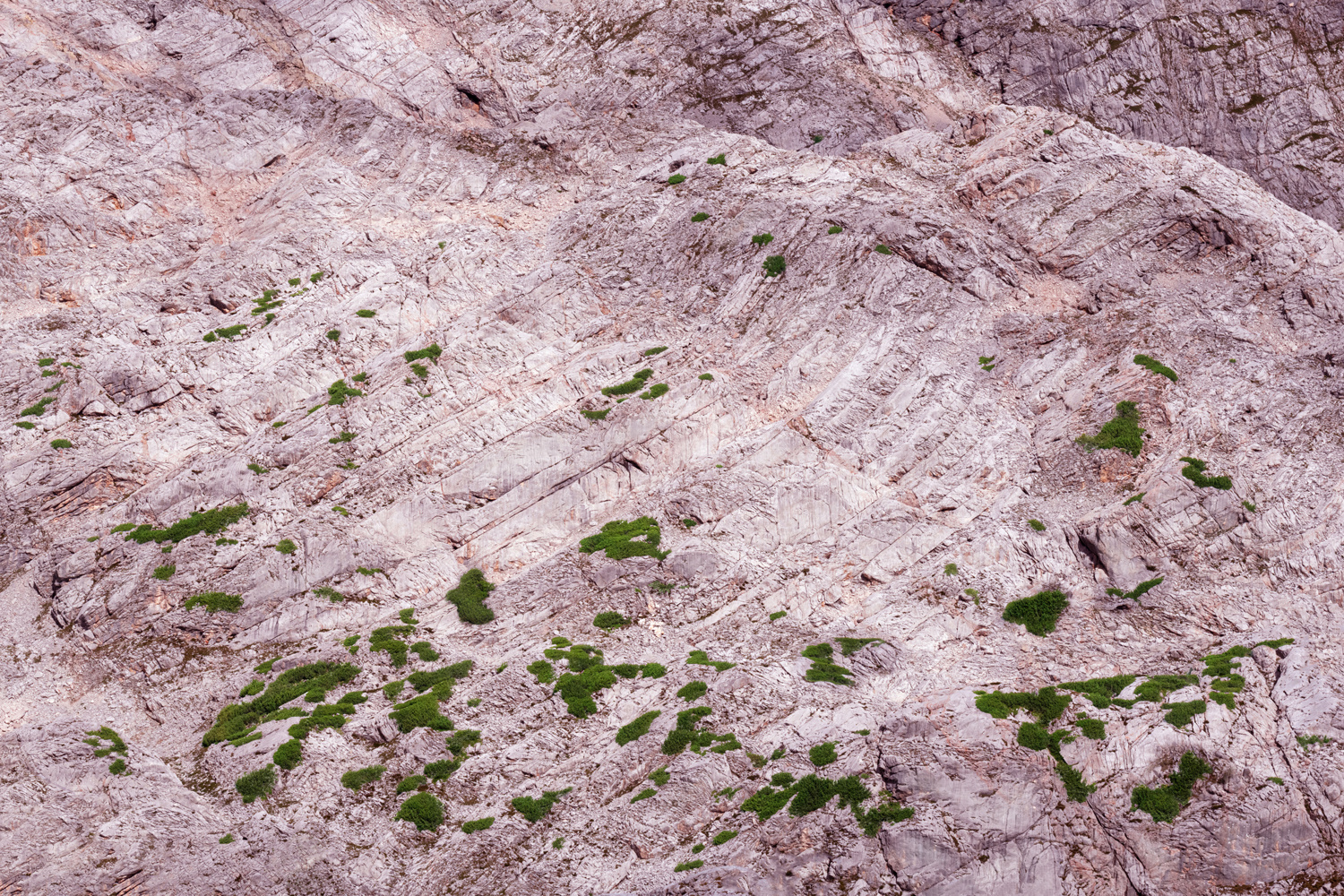 Alpenblick - Topographien der Vergänglichkeit | Yvonne Oswald Fotografie