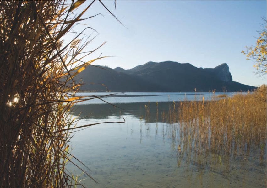 book Upper Austrian Lake Area | Yvonne Oswald Photography